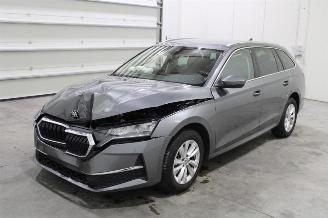 Auto incidentate Skoda Octavia  2024/8