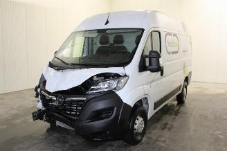Avarii autoturisme Opel Movano  2023/6