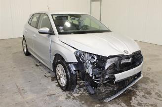 Skoda Fabia  picture 2