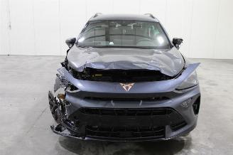 Cupra Formentor  picture 6