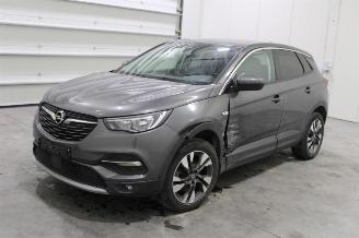 Avarii autoturisme Opel Grandland X 2019/7