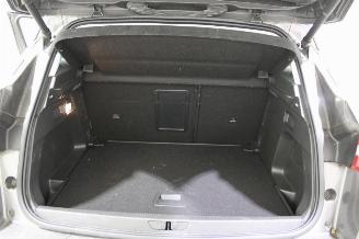 Opel Grandland X picture 17