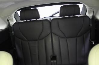 Hongqi EHS9 E-HS9 picture 10