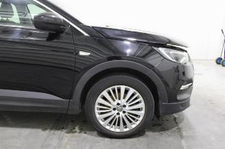 Opel Grandland X picture 7
