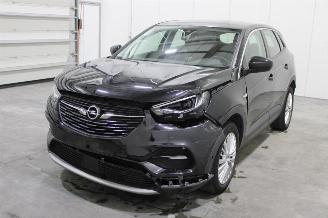 Avarii autoturisme Opel Grandland X 2019/10