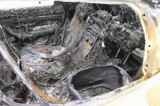 BYD Seal U  picture 12