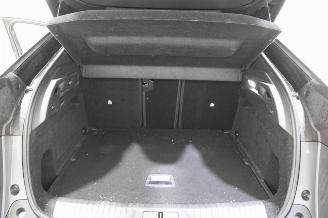 Peugeot 3008  picture 19
