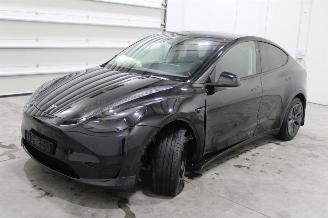 damaged passenger cars Tesla Model Y  2025/1