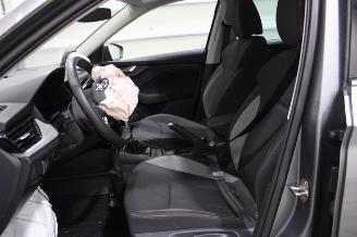 Skoda Kamiq  picture 10