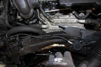 Volkswagen Polo  picture 22