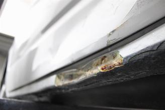 Volkswagen Transporter T6 picture 17