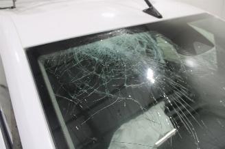 Renault Kangoo  picture 20