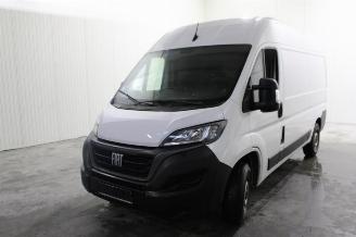 Vrakbiler auto Fiat Ducato  2023/6