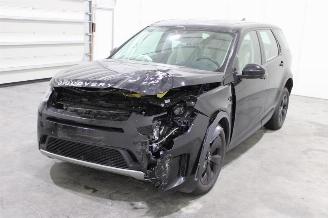 Auto incidentate Land Rover Discovery Sport  2019/12