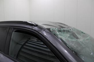 Peugeot 2008  picture 20