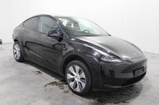 Tesla Model Y  picture 2