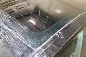 Tesla Model Y  picture 6