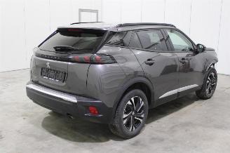 Peugeot 2008  picture 3