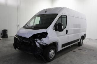 skadebil auto Opel Movano  2022/12