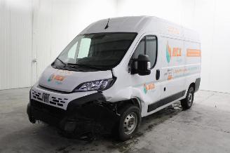 Schadeauto Fiat Ducato  2025/1