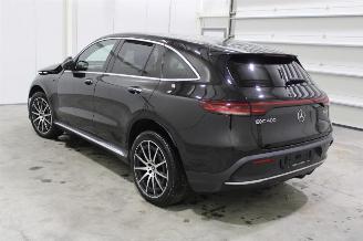 Mercedes EQC  picture 4