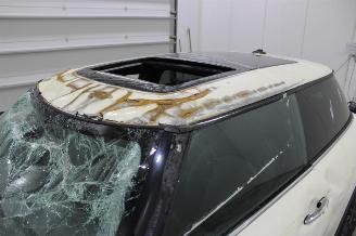 Mini Cooper  picture 8