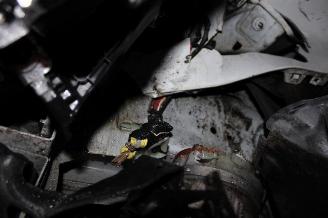 Renault Trafic  picture 20