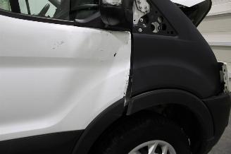 Ford Transit  picture 18