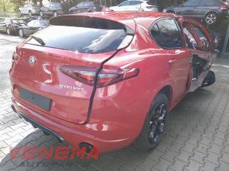 Alfa Romeo Stelvio Stelvio (949), SUV, 2017 2.0 T 16V Q4 picture 5