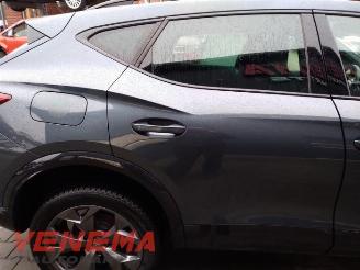 Cupra Formentor Formentor, SUV, 2020 1.5 e-Hybrid VZ 16V picture 20