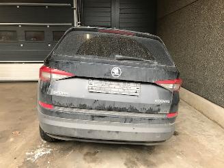 Skoda Kodiaq SUV 2019 2.0 TDI 150 16V SUV  Diesel 1.968cc 110kW (150pk) FWD picture 11