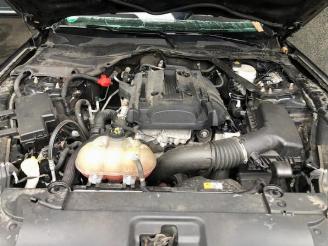 Ford USA Mustang Mustang VI Fastback, Coupe, 2014 2.3 EcoBoost 16V picture 7