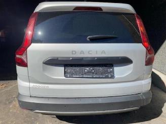 Dacia Jogger Jogger, MPV, 2022 1.0 TCe 110 12V picture 6