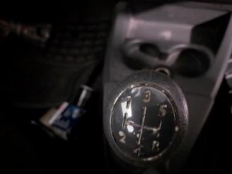 Dacia Dokker Dokker (0S), MPV, 2012 / 2021 1.6 16V picture 13