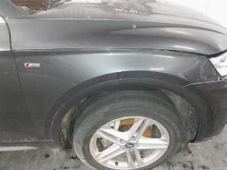 Audi Q5 Q5 (FYB/FYG), SUV, 2016 2.0 40 TDI 16V Quattro picture 6