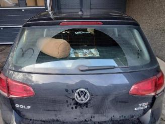 Volkswagen Golf Golf VII (AUA), Hatchback, 2012 / 2021 1.6 TDI 16V picture 3