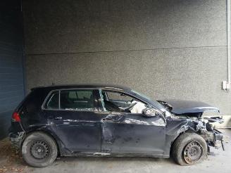 Volkswagen Golf Golf VII (AUA), Hatchback, 2012 / 2021 1.6 TDI 16V picture 10