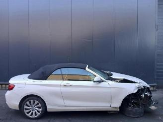 BMW 2-serie 2 serie (F23), Cabrio, 2014 / 2021 228i 2.0 Turbo 16V picture 7