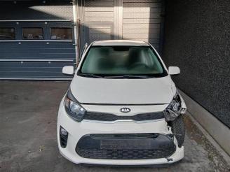 Kia Picanto Picanto (JA), Hatchback, 2017 1.0 12V picture 2
