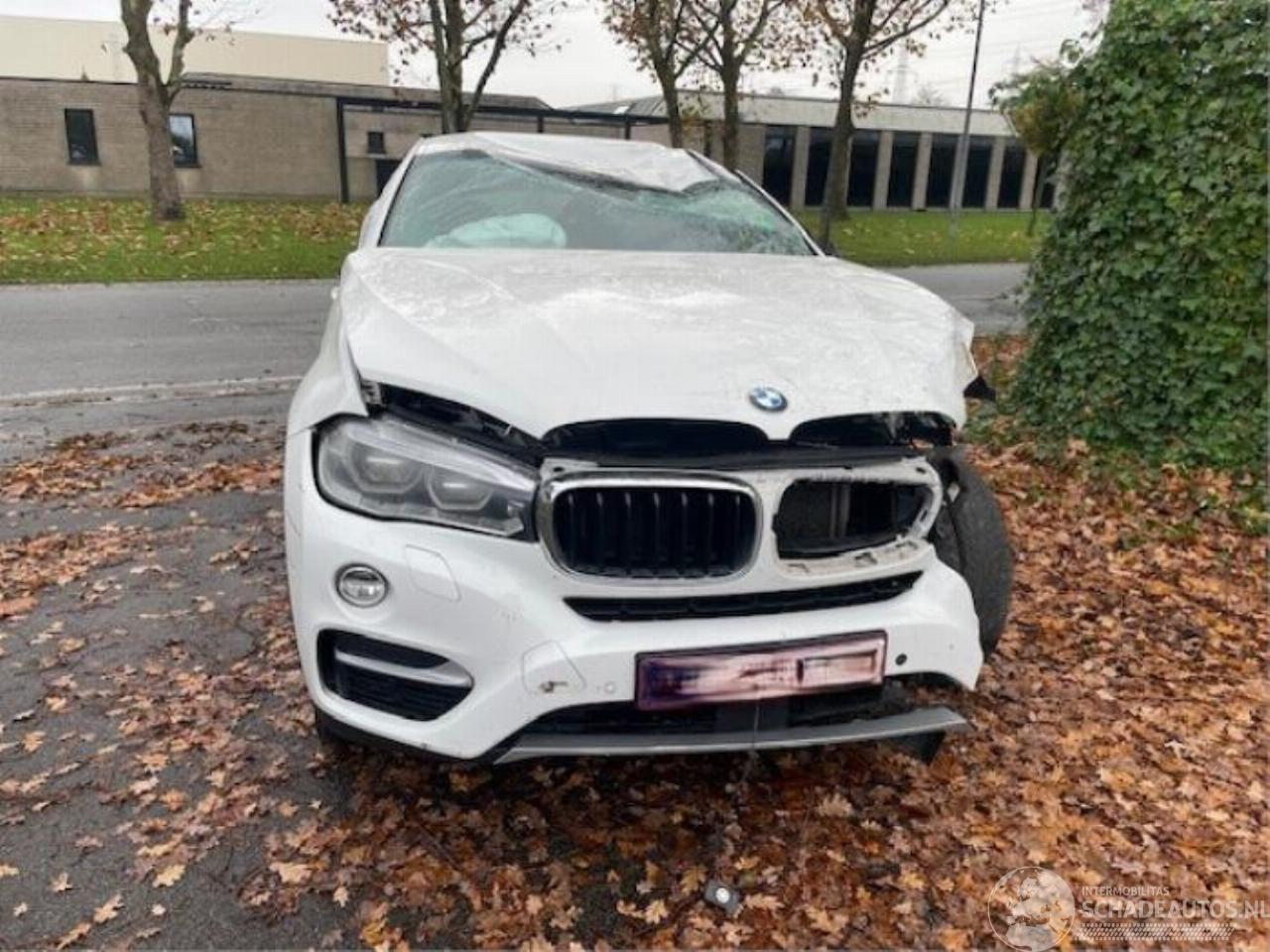 BMW X6 X6 (F16), SUV, 2014 / 2019 xDrive30d 3.0 24V