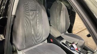 Audi A4 allroad  picture 20