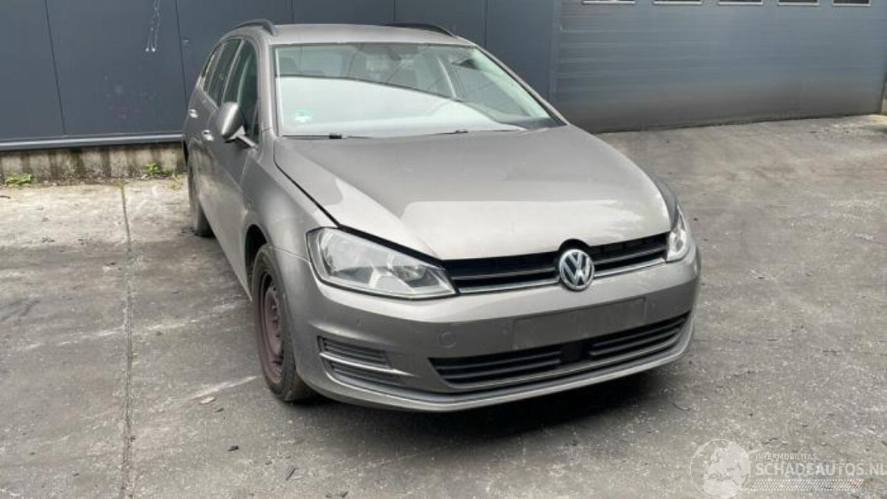 Volkswagen Golf Golf VII Variant (AUVV), Combi, 2013 / 2021 1.6 TDI BlueMotion 16V