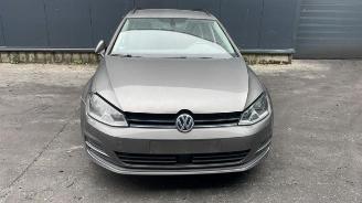 Volkswagen Golf Golf VII Variant (AUVV), Combi, 2013 / 2021 1.6 TDI BlueMotion 16V picture 2