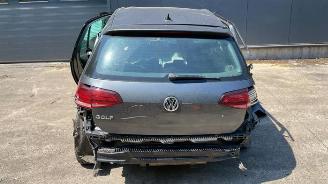 Volkswagen Golf Golf VII (AUA), Hatchback, 2012 / 2021 1.6 TDI BMT 16V picture 6