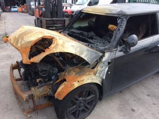 Mini Mini  picture 2