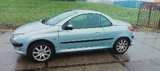 škoda osobní automobily Peugeot 206  2002/4