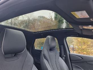 BYD Dolphin 60.4 kWh Pano Led Navi Camera picture 15