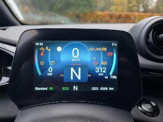 BYD Dolphin 60.4 kWh Pano Led Navi Camera picture 17