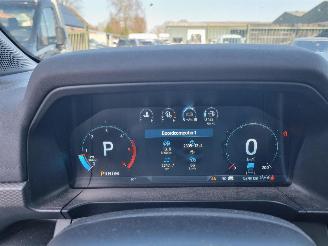 Ford Ranger Raptor 2.0 Aut Double Cab picture 19