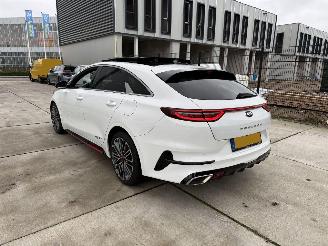 Kia Proceed 1.6 T-GDI-GT AUTOMAAT-PANO-CAMERA-NAVI-PDC picture 4
